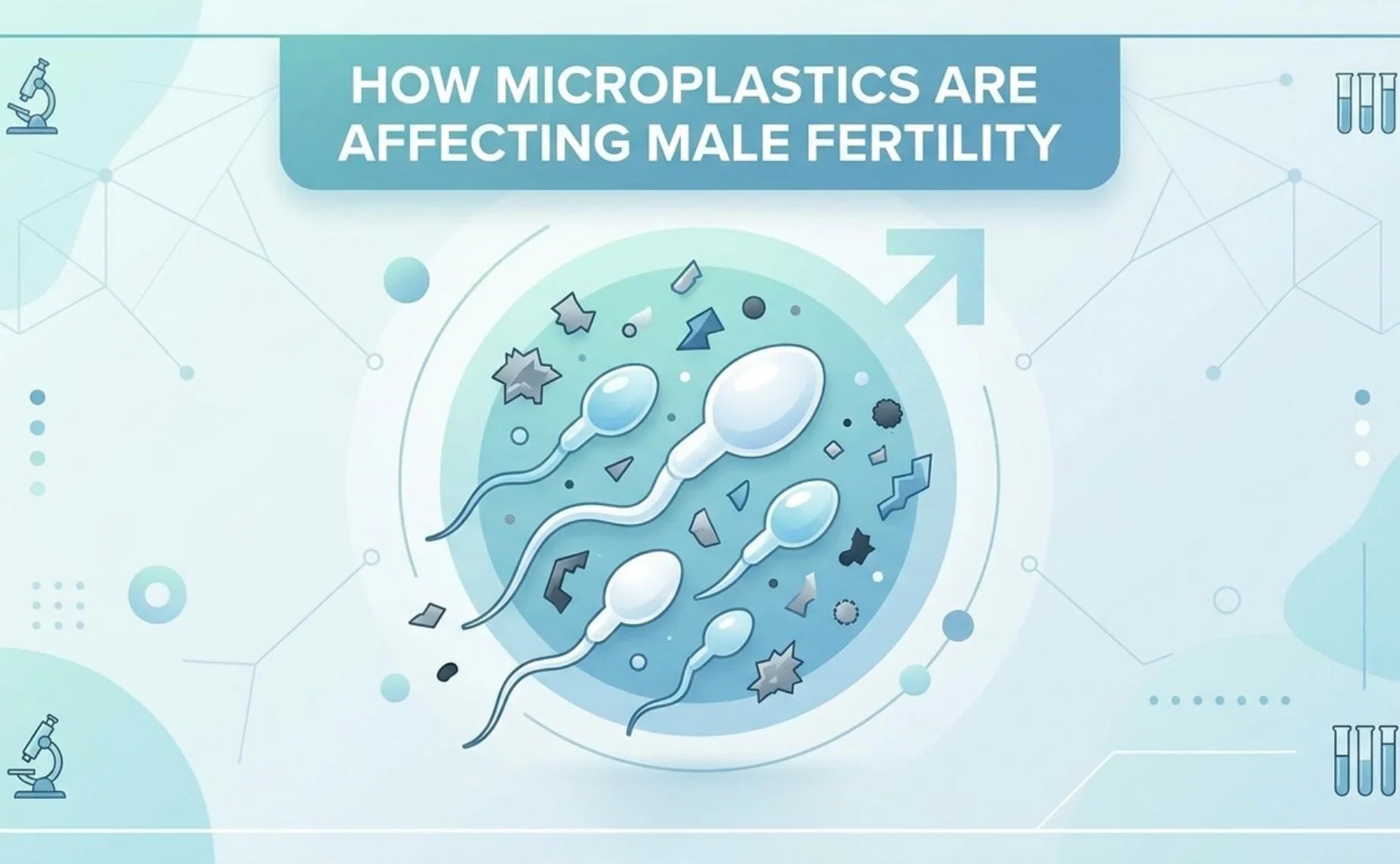 How Microplastics Are Affecting Male Fertility