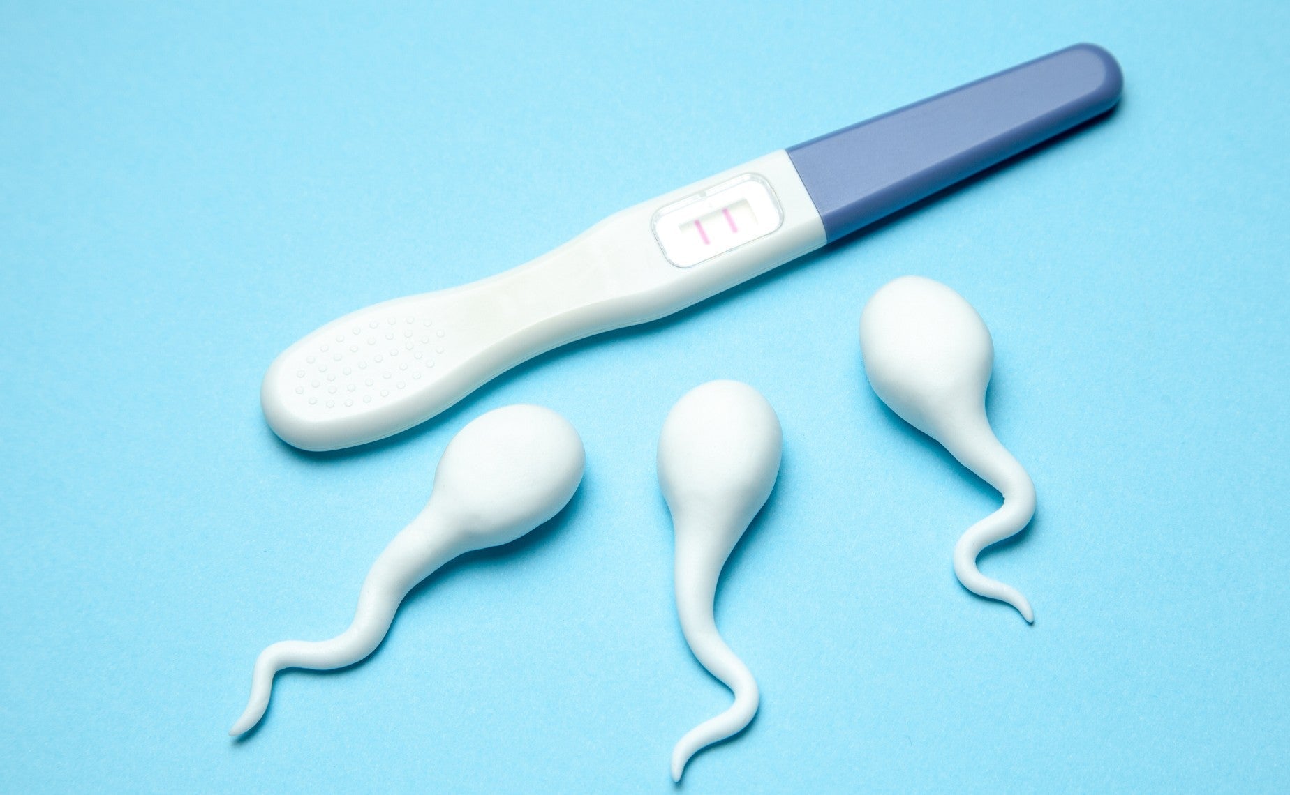 Sperm Test Results Explained: What Semen Analysis May Reveal About Fertility