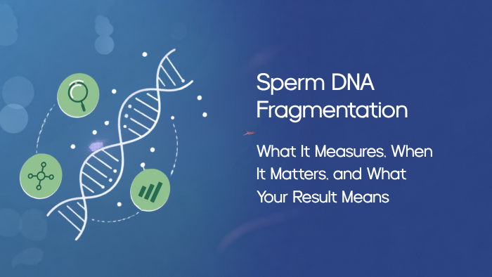 sperm dna fragmentation