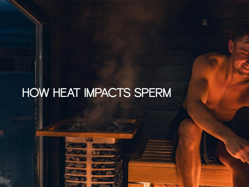 How Heat Impacts Sperm: New Science Unlocks Clues to Male Fertility