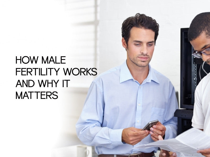 How Male Fertility Works and Why It Matters