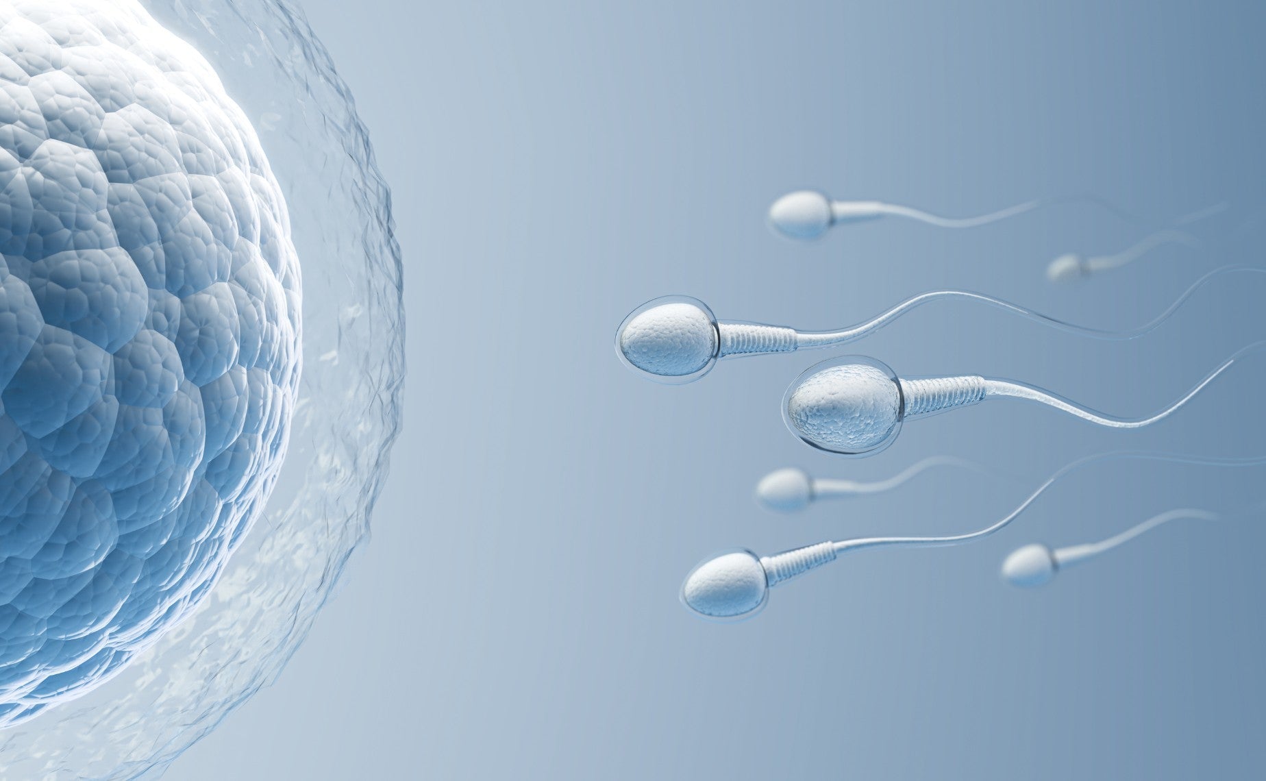 Low Sperm Motility: Causes, Treatment Evidence, and What It Means for Fertility