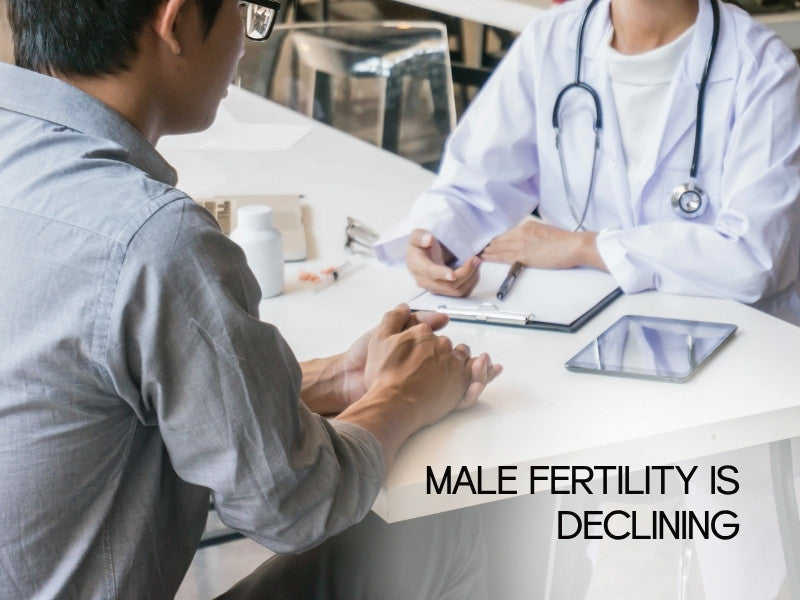 Male Fertility Is Declining: What the Science of Sperm Reveals