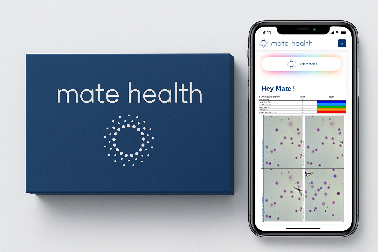 Advanced Semen Analysis